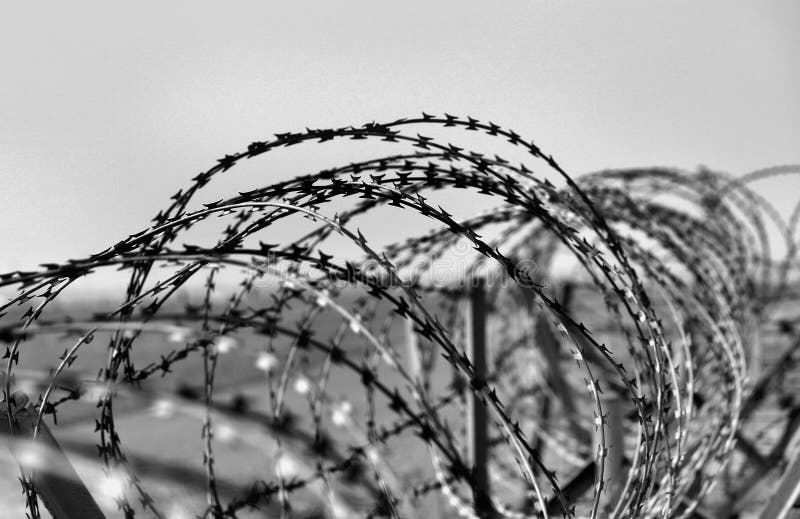 Barbed wire on dark fence stock image. Image of edge - 29910419