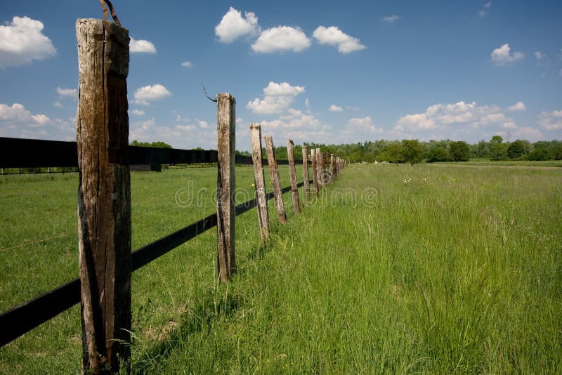 Fence in the field