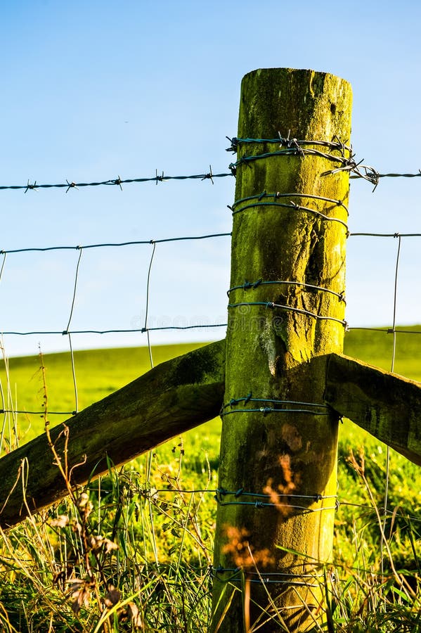 Fence Line, the Typical Wood Post and Barbed Wire Barrier Stock Photo