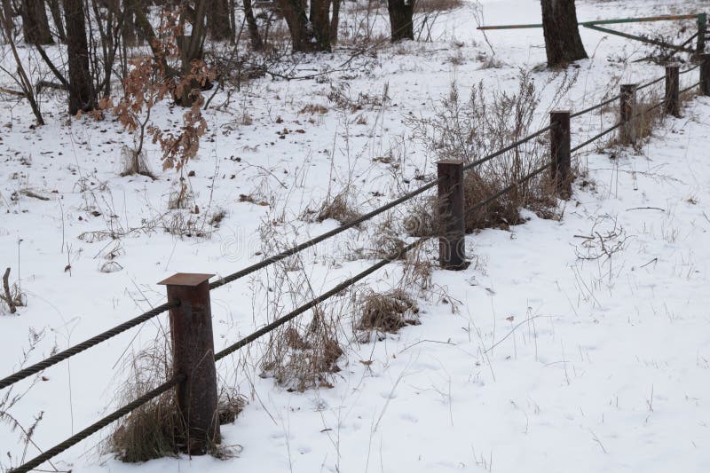 Royalty free stock image.