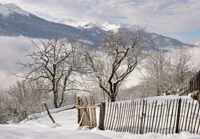 Fence in snowy garden