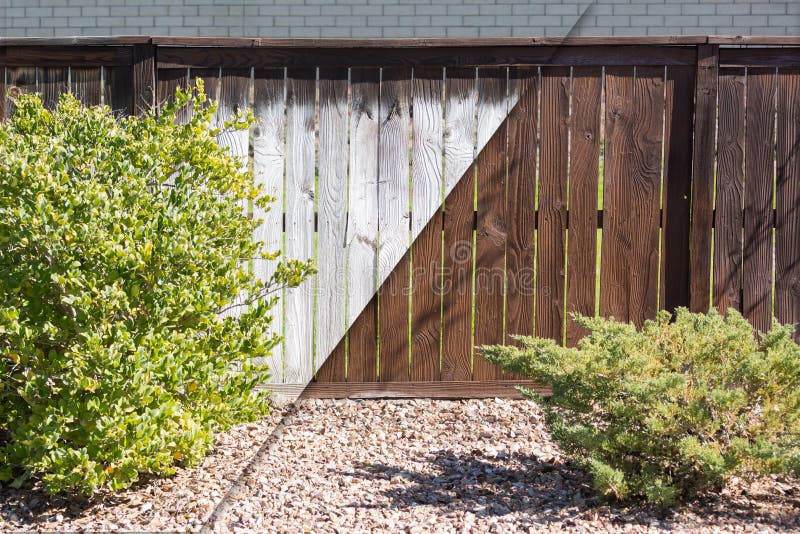 Man Painting a Wooden Picket Fence with Purple Wood Stain and Brush in a  Garden. Stock Photo - Image of natural, nailed: 182923494