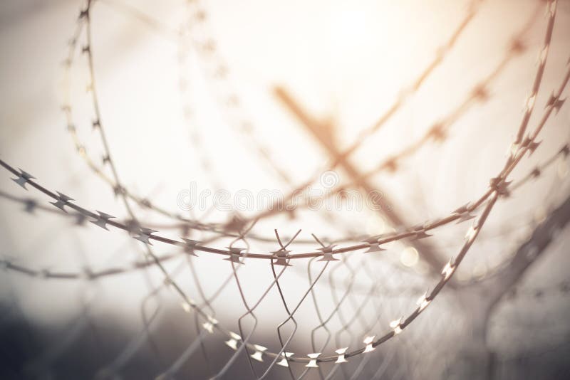 The fence on top of the wound spiral barbed wire, a sharp blade which reflects the morning light