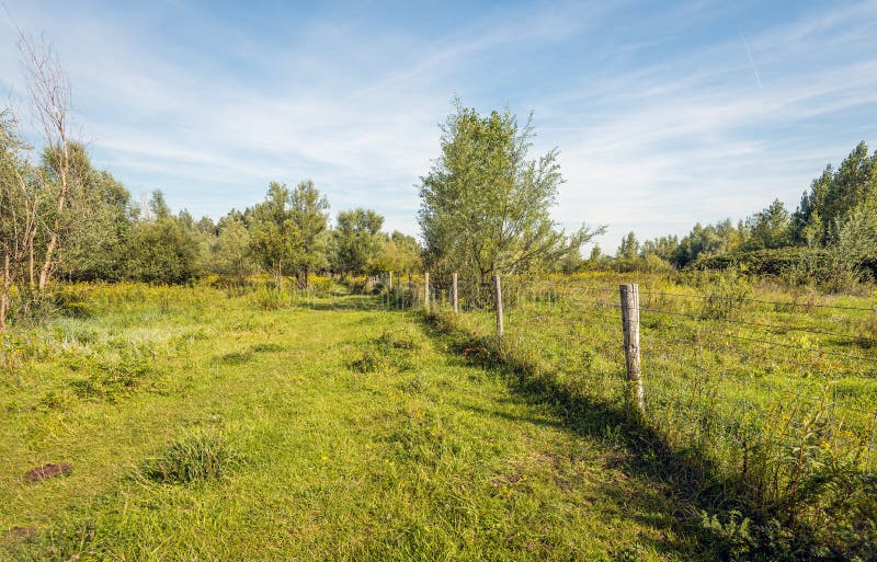 Fence of wooden posts and barbed wire in nature reserve royalty free stock photos Fence of wooden posts and barbed wire in nature reserve royalty free stock photos