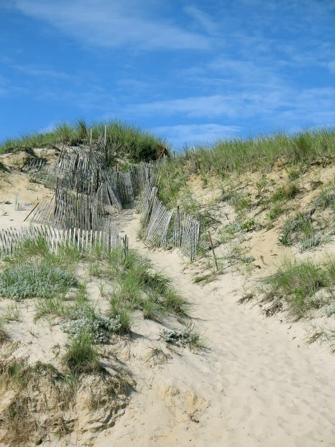 Fenced Dune Walkway