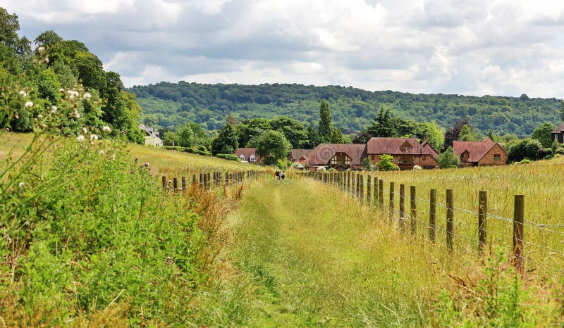 Fenced Footpath through an English Meadow