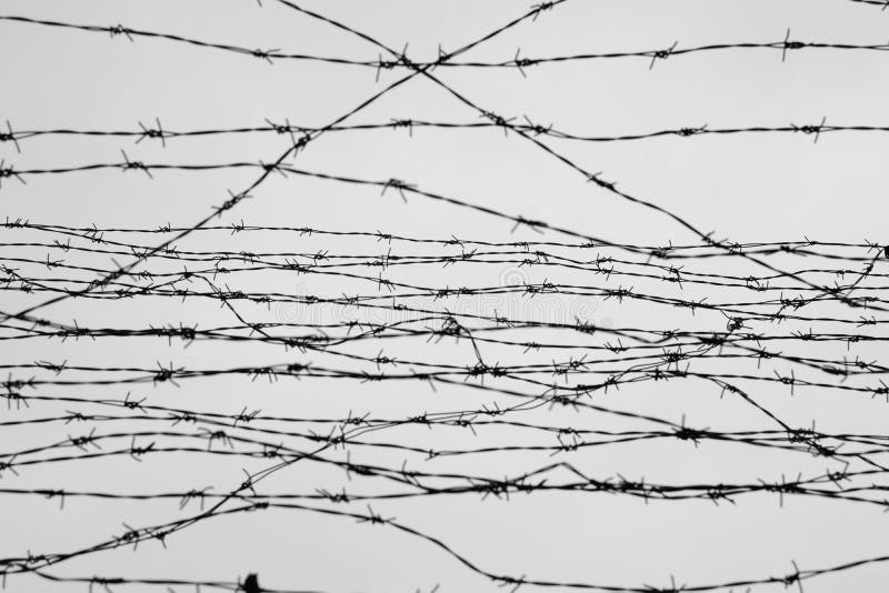 Fencing. Fence with barbed wire. Depressive background. Black and white. Photo. Fencing. Fence with barbed wire. Depressive background. Black and white. Photo