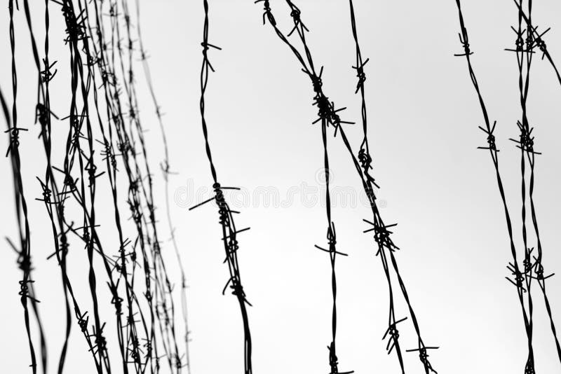 Fencing. Fence with barbed wire. Depressive background. Black and white. Photo. Fencing. Fence with barbed wire. Depressive background. Black and white. Photo