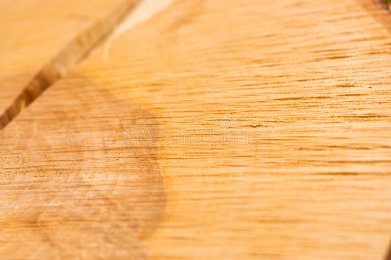 Fendez sur un tronçon d'arbre, texture en bois photographie stock Fendez sur un tronçon d'arbre, texture en bois photographie stock