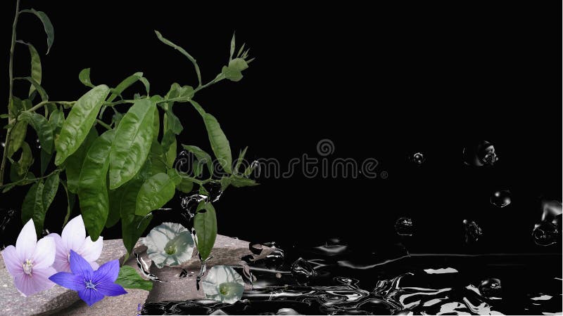 Feng Shui Bild Mit Orangenbaum Blumen Steinen Und Wasser Stock Abbildung Illustration Von Yoga Spray 97053102