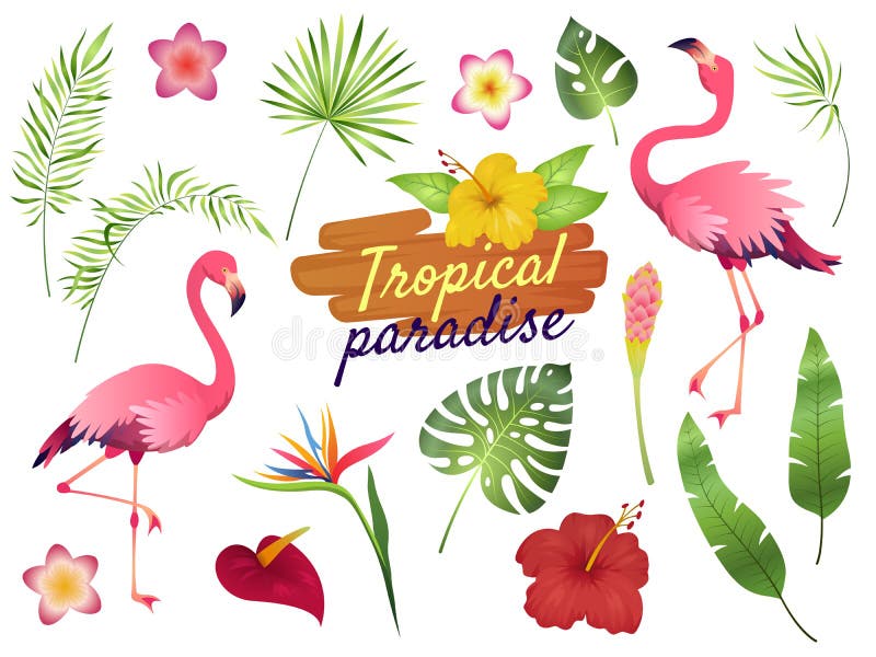 Fenicotteri tropicali Foglie di palma rosa dei fiori della giungla del fenicottero, natura, spiaggia di estate, fumetto esotico s