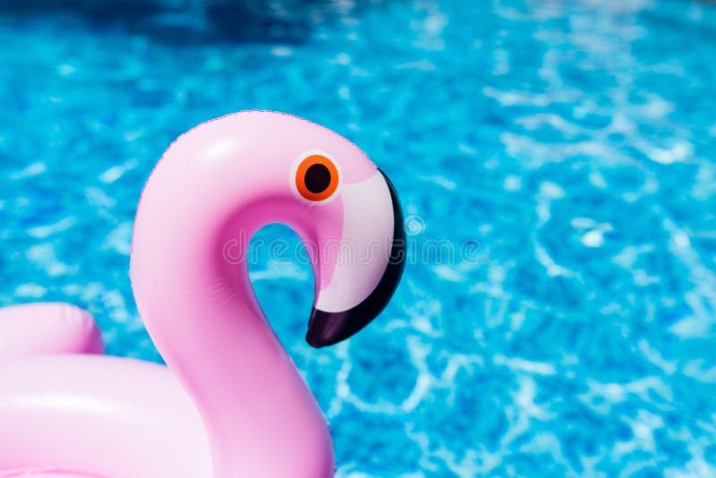 Fenicottero rosa gonfiabile alla piscina Ora legale nella piscina con i giocattoli di plastica Rilassamento, festa, vacanza immagine stock Fenicottero rosa gonfiabile alla piscina Ora legale nella piscina con i giocattoli di plastica Rilassamento, festa, vacanza immagine stock