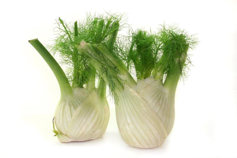 Fennel stock image. Image of fresh, calorie, aromatic 14337083