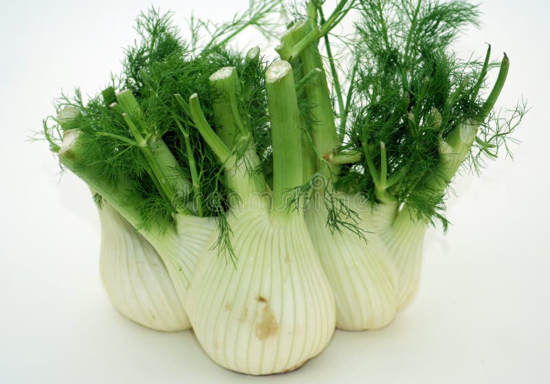 Fennel stock image. Image of herb, vegetable, ingredient 7185903