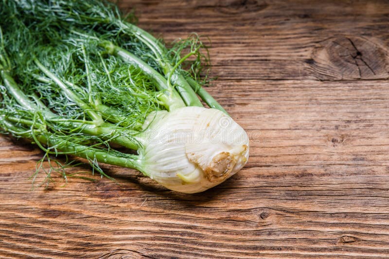 1,556 Anise Bulb Stock Photos Free & RoyaltyFree Stock Photos from