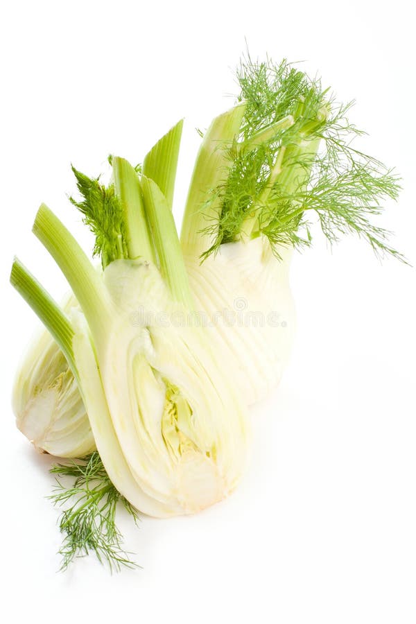 Fennel Bulb. Single Fresh Fennel Bulb with Leaves on White Backg Stock