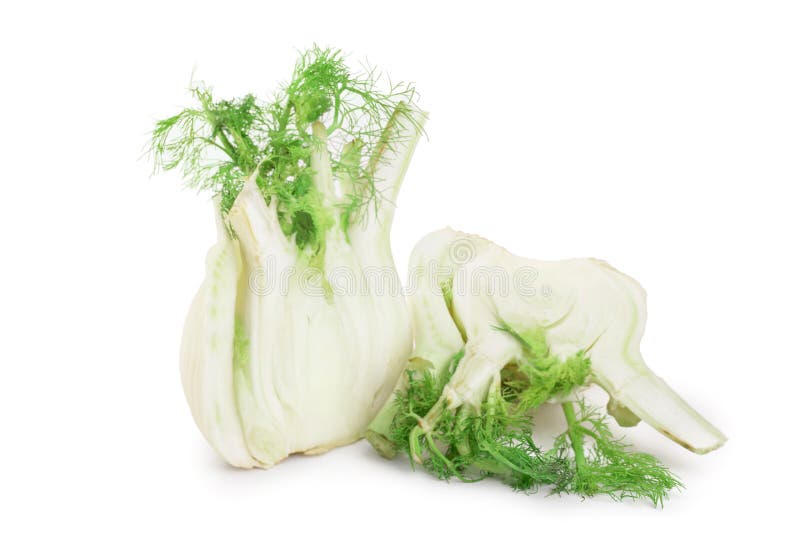 Fennel Bulb. Single Fresh Fennel Bulb with Leaves on White Background