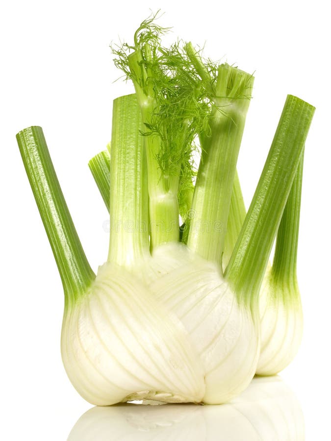 Fennel Bulb on White Background Isolated Stock Image Image of leaf