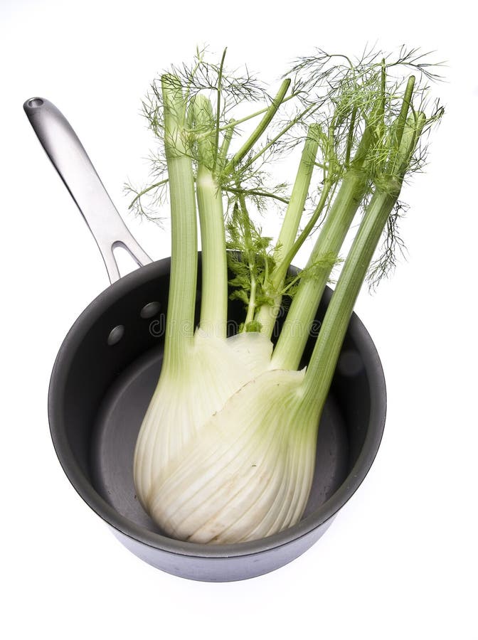 Fennel Cooking on the Plate Stock Image Image of vegetable, fennel