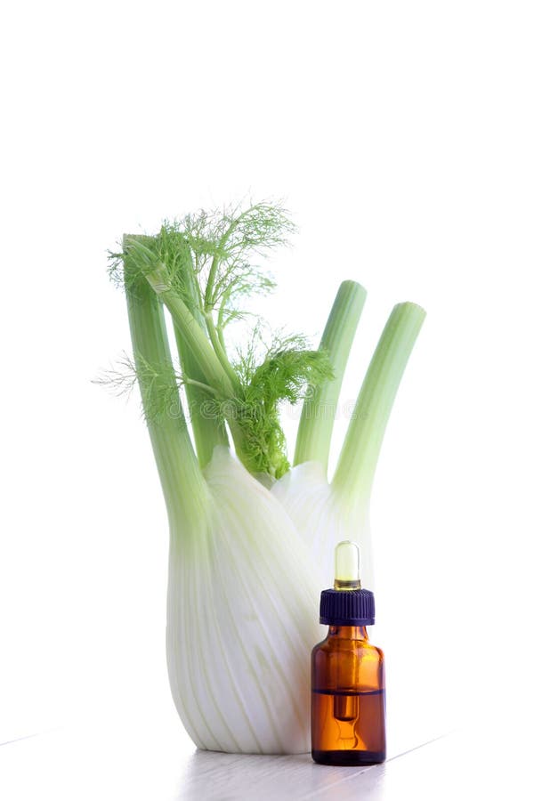 Fennel essential oil stock photo. Image of vegetarian 54588176