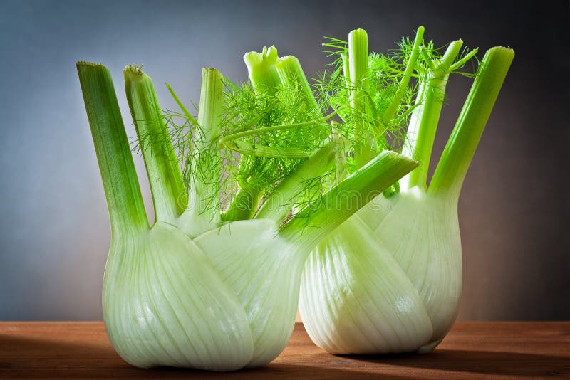 Fennel stock photo. Image of ingredient, healthy, bulb 21779562