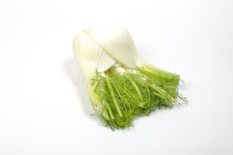 Fennel root leaf herb stock photo. Image of natural, nobody 82714912