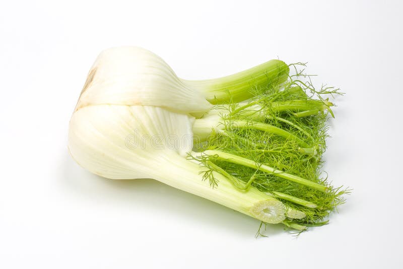 Fennel root leaf herb stock photo. Image of ingredient 82714912
