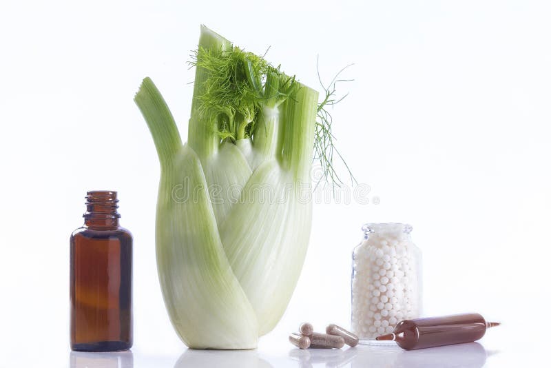 Fennel Plant Healing Herbal Medicine Stock Photo Image of aromatherapy, nature 75957696