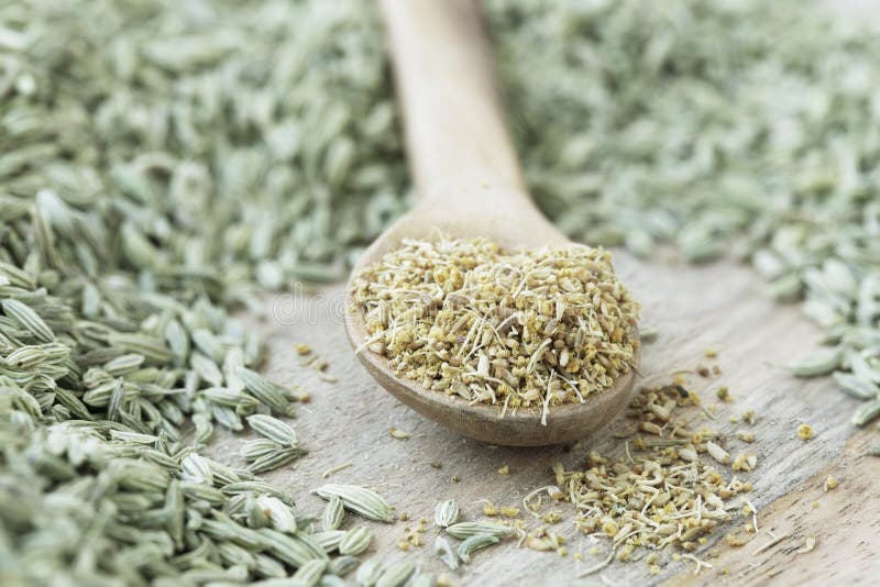 Fennel Pollen in Spoon royalty free stock photo Fennel Pollen in Spoon royalty free stock photo