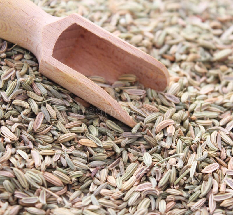 Fennel seeds stock photo. Image of seeds, fennelseed 25210336
