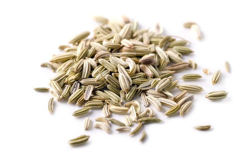 Fennel Seeds