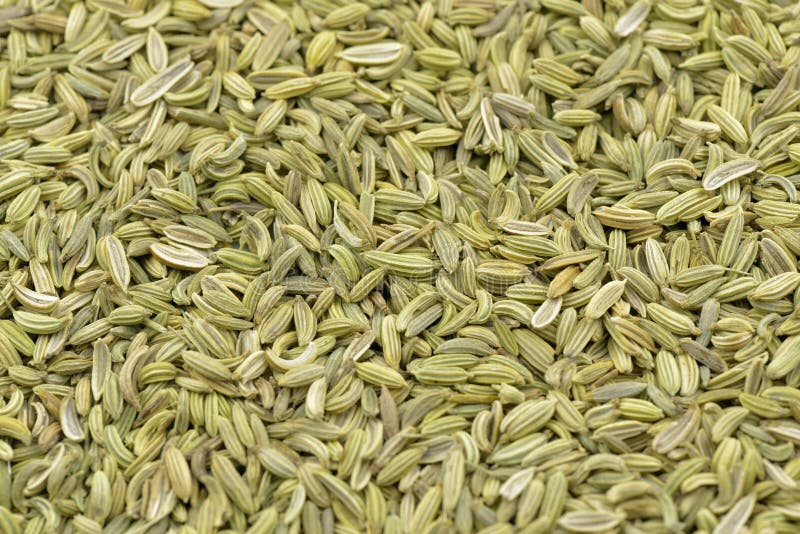 Fennel seeds