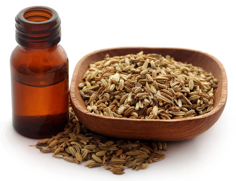Fennel Seeds with Essential Oil in a Bottle Stock Image - Image of isolated, organic: 110643173 Fennel Seeds with Essential Oil in a Bottle Stock Image - Image of isolated, organic: 110643173