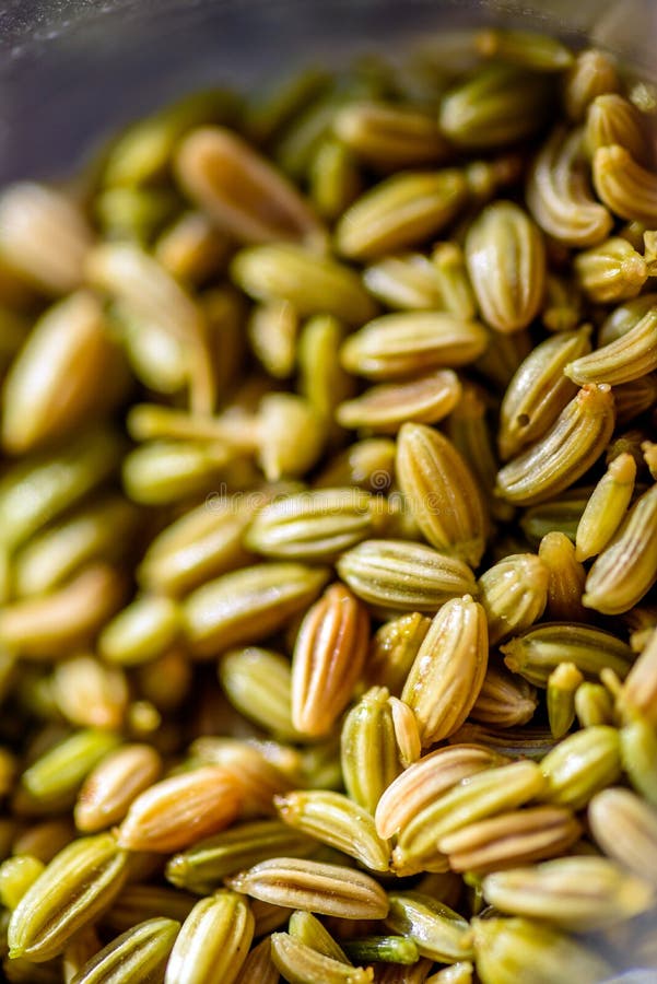 Fennel Seeds Inside Being Brewed for Healthy Drink Stock Image Image