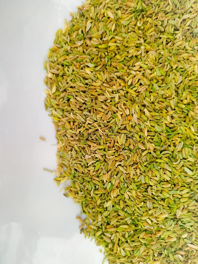 Fennel Seeds Isolated on White Background Stock Photo Image of aroma, healthy 267197364