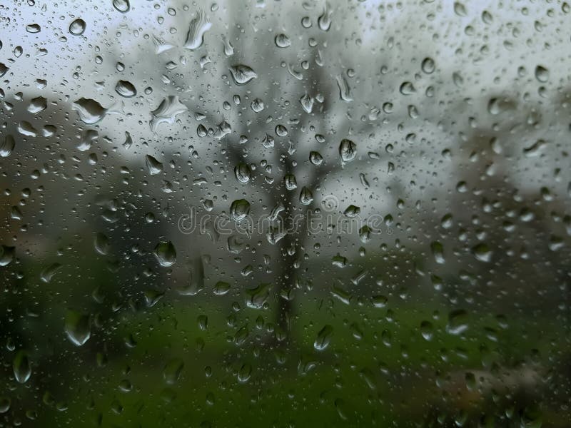 Fenster mit Regen stockbild. Bild von traurig, baum