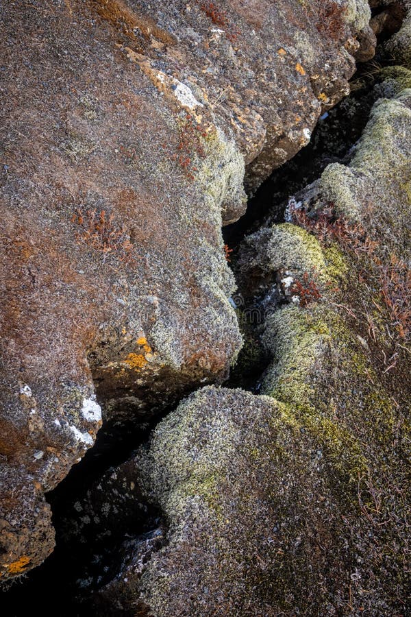 Fente dans la terre photo stock Fente dans la terre photo stock