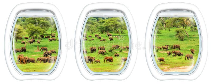 Fenêtres de hublot sur des éléphants images libres de droits Fenêtres de hublot sur des éléphants images libres de droits