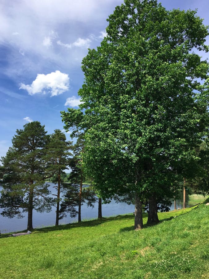 Ferapontovo, luglio 2018 La natura del vologda, molto bella in Russia immagine stock libera da diritti Ferapontovo, luglio 2018 La natura del vologda, molto bella in Russia immagine stock libera da diritti
