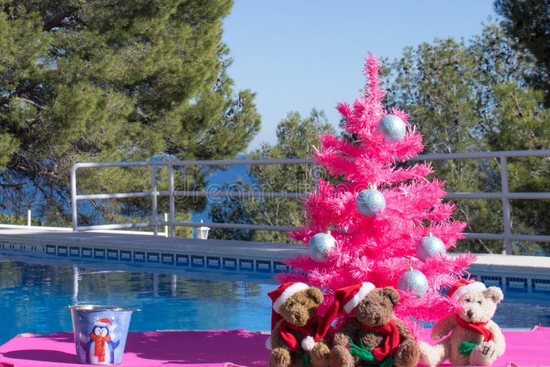 Feriados do Natal feliz Três Santa Bears e uma árvore de Natal cor-de-rosa pela piscina Cartão do Feliz Natal com espaço da cópia Férias do Natal em países mornos