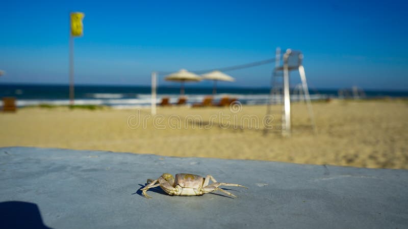 Ferie- och semesterbegrepp för turism strand härliga vietnam , Danang royaltyfri foto Ferie- och semesterbegrepp för turism strand härliga vietnam , Danang royaltyfri foto
