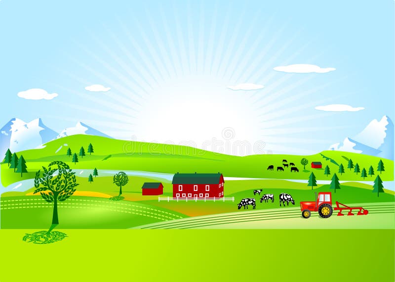 Farm and countryside and cow in field. Farm and countryside and cow in field