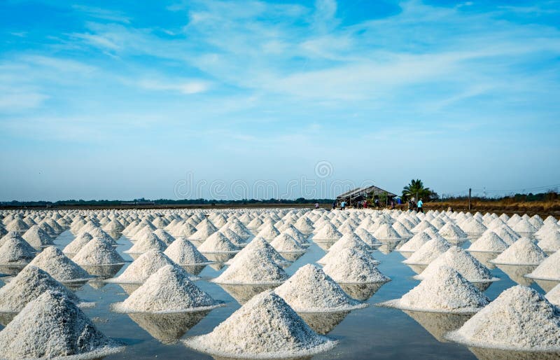 Ferme et grange de sel de mer en Tha?lande Sel organique de mer Mati?re premi?re de sel industrielle Chlorure de sodium Syst?me s photographie stock libre de droits Ferme et grange de sel de mer en Tha?lande Sel organique de mer Mati?re premi?re de sel industrielle Chlorure de sodium Syst?me s photographie stock libre de droits