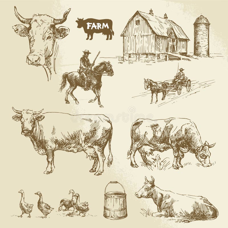 Farm, cow, agriculture - hand drawn collection. Farm, cow, agriculture - hand drawn collection