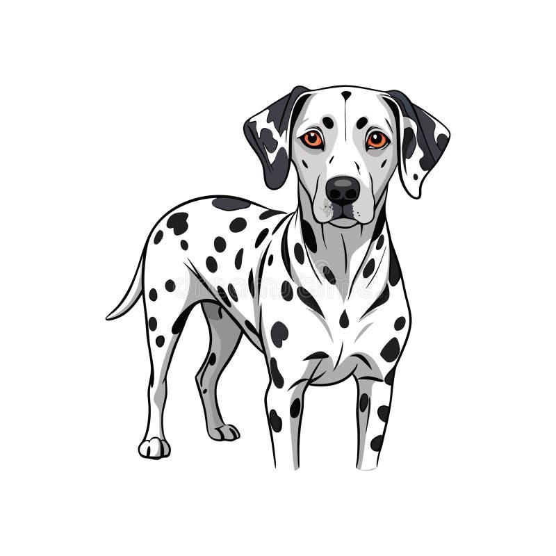 Fermecătoare Artă Dalmatiană Realistă vector illustration