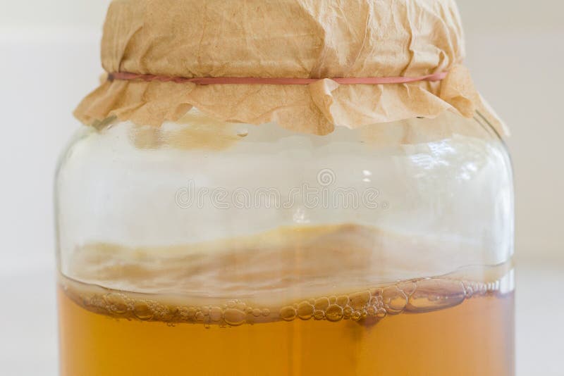 health benefits of fermented foodsFermented Kombucha Tea. In a jar with a scoby mushroom floating on top stock photography