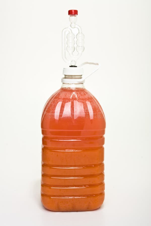 Fermenting Wine stock image. Image of homemade, money 15844353