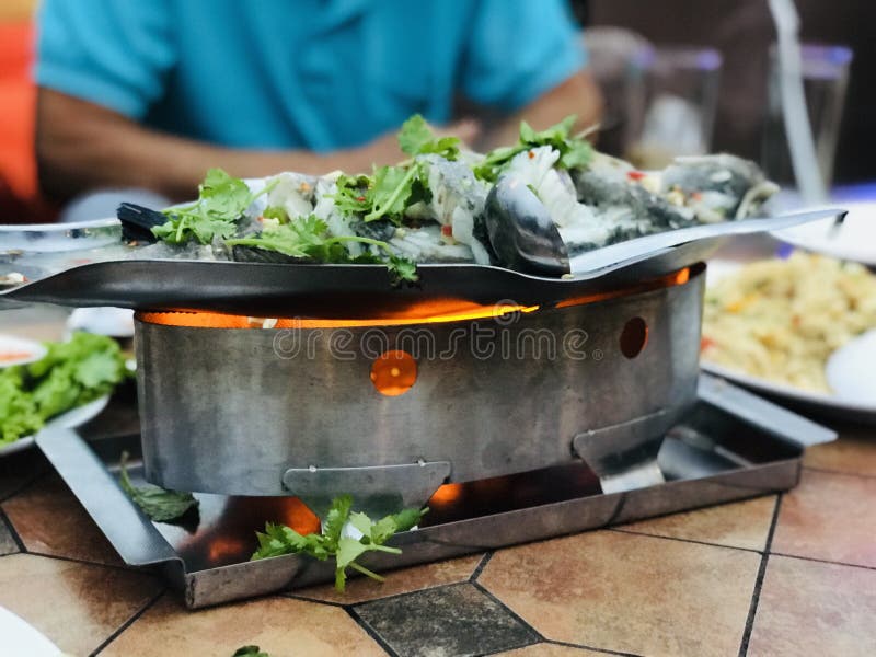 fermer les poissons à la vapeur dans un chaudron photo libre de droits fermer les poissons à la vapeur dans un chaudron photo libre de droits