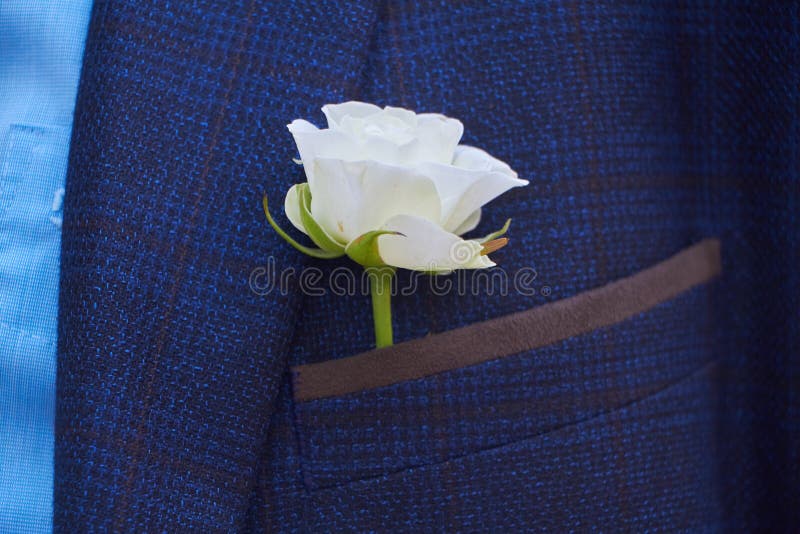 Close up of a white rose buttonhole in a pocket of a blue suit jacket, selective focus. Close up of a white rose buttonhole in a pocket of a blue suit jacket, selective focus