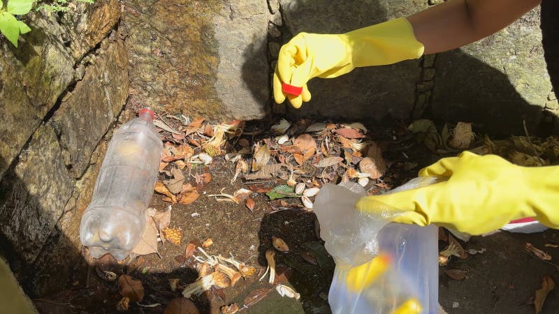 Fermeture d'une main de bénévoles ramassant une bouteille en plastique et d'autres débris au milieu de la forêt à rio de janeiro. banque de vidéos